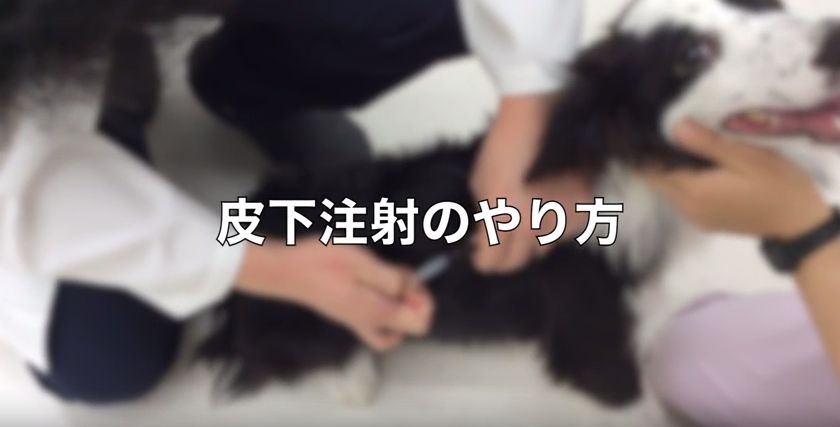 皮下注射のやり方