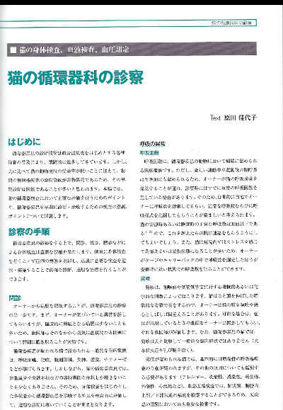 猫の循環器